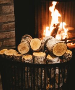 Birch_Unsplit_Fireplace_Image