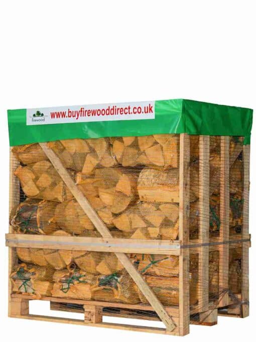 Forty kiln-dried birch firewood log nets, each individually packed for easy handling and portability.