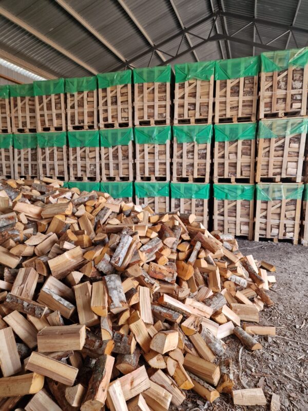 Firewood production yard 2