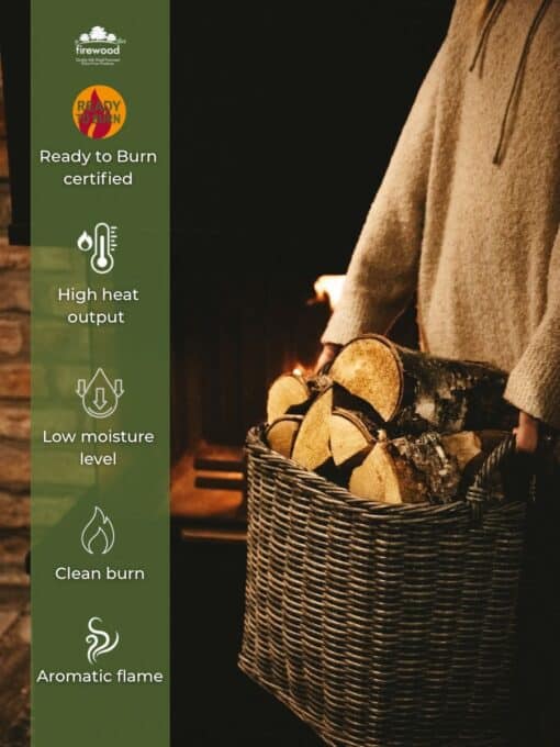 Birch_Specs_Image Birch_Specs_Image