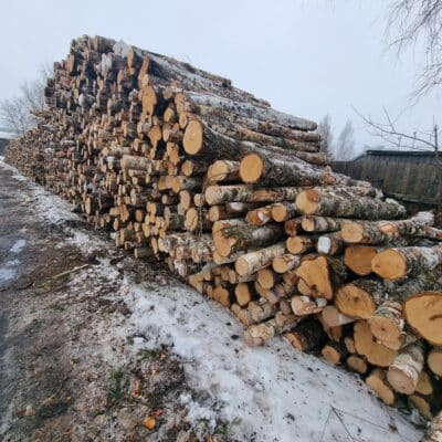 Birch firewood